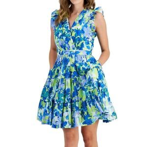 Taylor Floral Printed A-Line V-Neck Dress Size 8